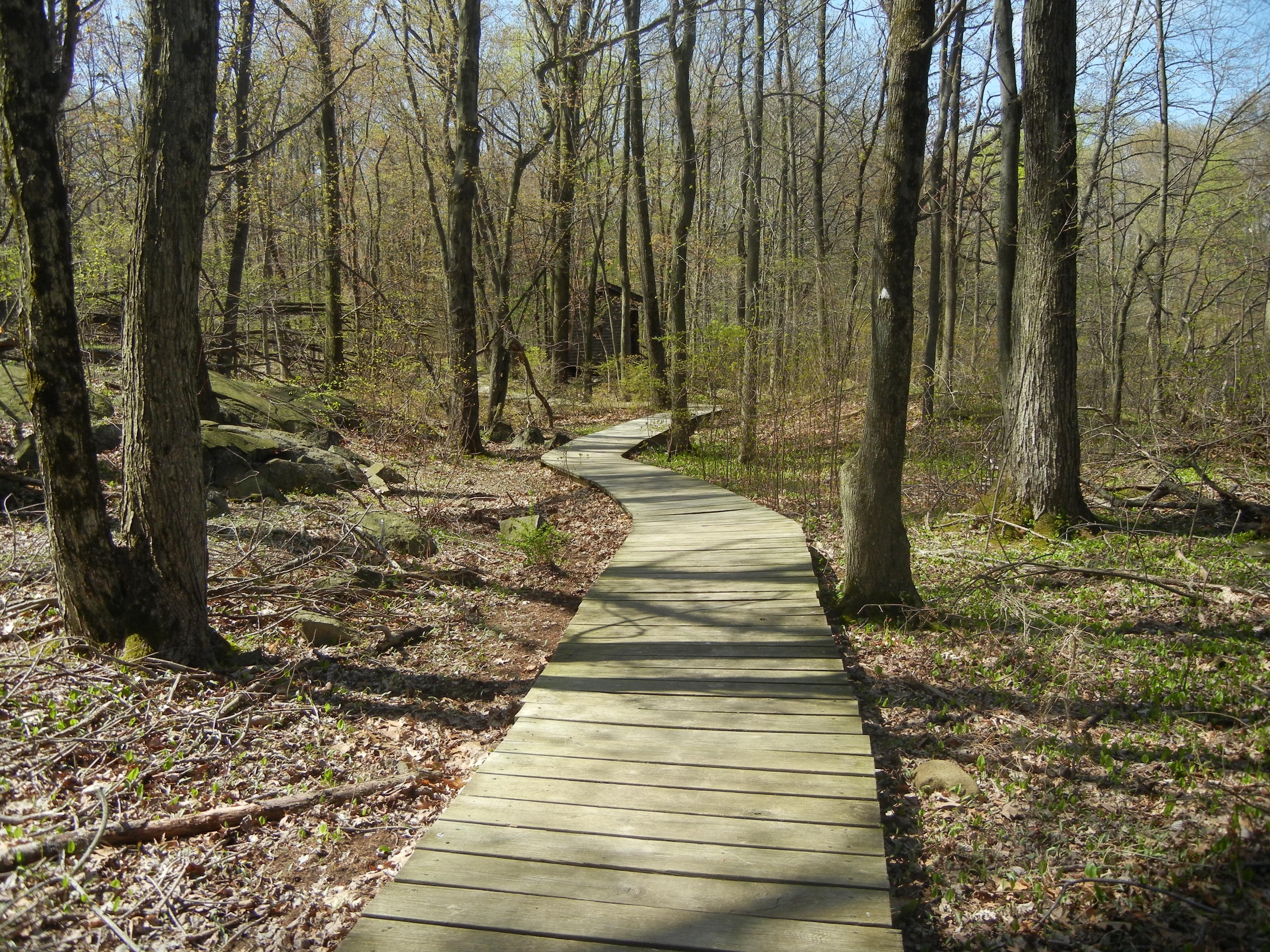 Boardwalk Along the De Filippi Trail - Tenafly Nature Center - Photo credit: Trail Conference