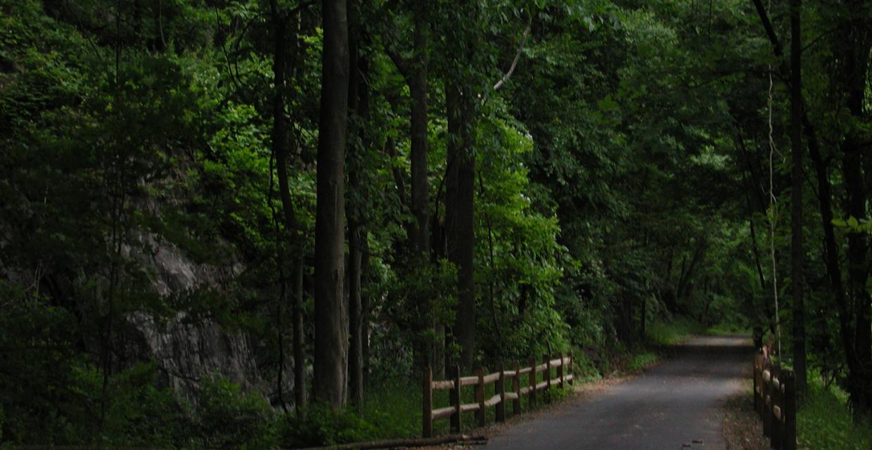 The former railbed of the "Old Put" line Photo: Jane Daniels