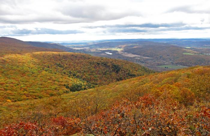 View from the South Taconic Trail on Alander Mountain at Taconic State Park - Photo credit: Michael Schenker