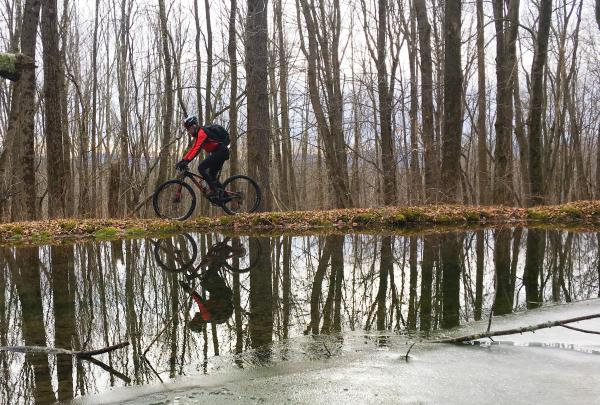 Mountain biker in the Catskills. Photo by Alicia Katsur.