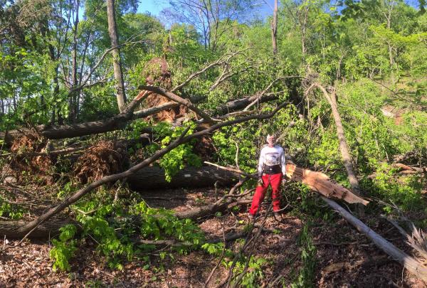 Trail Conference Sawyer Jim Haggett working on the Appalachian Trail in Taconic State Park. Photo by Moe Lemire.