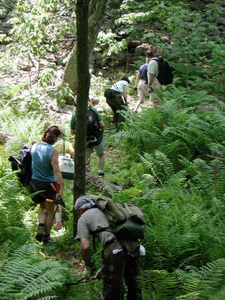 Trail Work on SRT