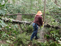 Post-Sandy trail cleanup at Wawayanda State Park